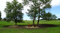 Mtb tour bodensee muenchen