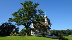 Mtb tour bodensee muenchen