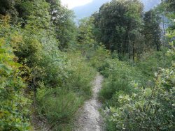 Mtb tour etschtal