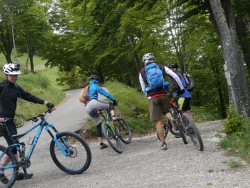 Mtb tour etschtal